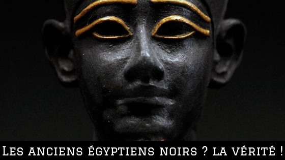 Les anciens égyptiens, noirs ou blancs ?