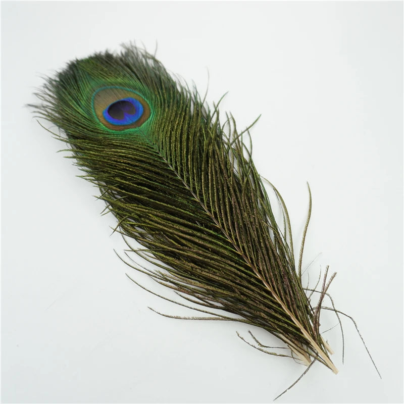 Décorations Plumes de paon renaissance