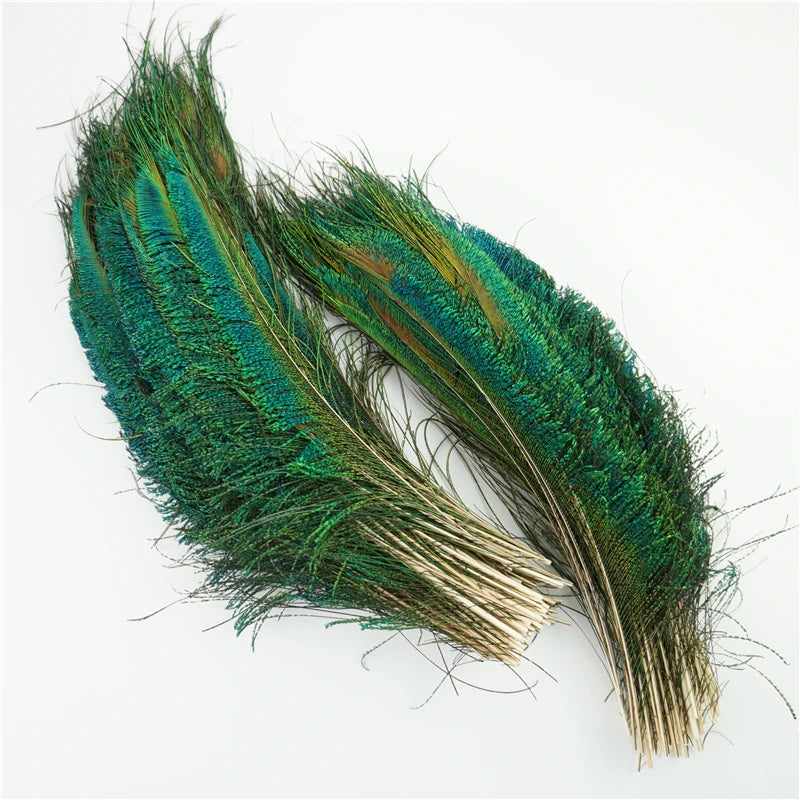Décorations Plumes de paon renaissance
