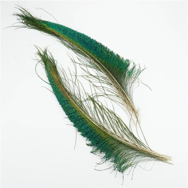 Décorations Plumes de paon renaissance