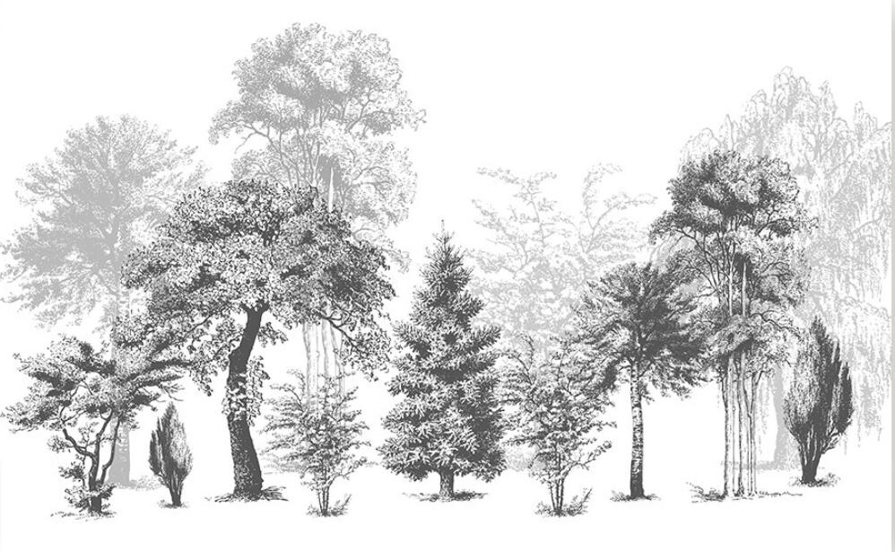 Papier peint Mural 3D foret exotique du Oasis
